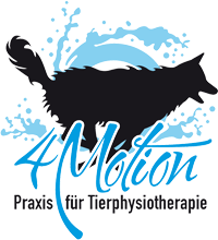 4motion-physio-logo-transparent